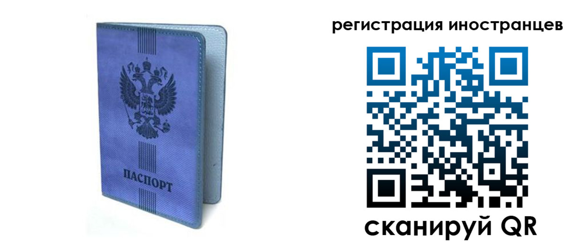 прописка ребенка в Кировске